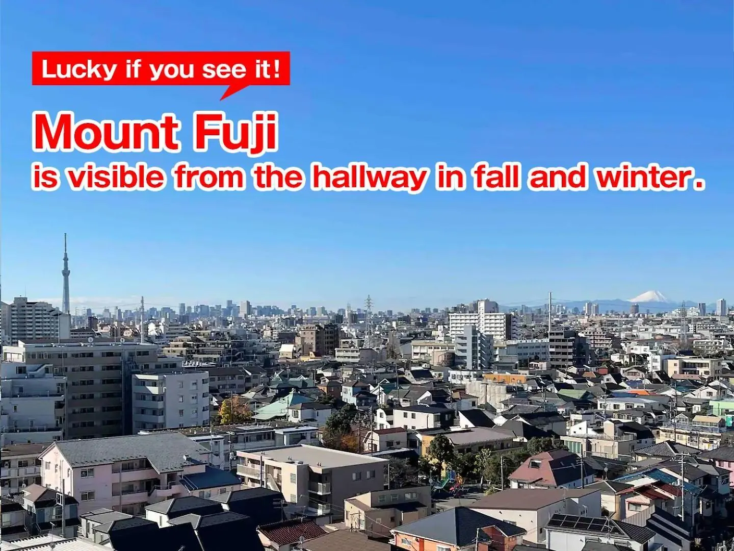 Apartmán Sc Kameari 1003 Prefektura Tokio